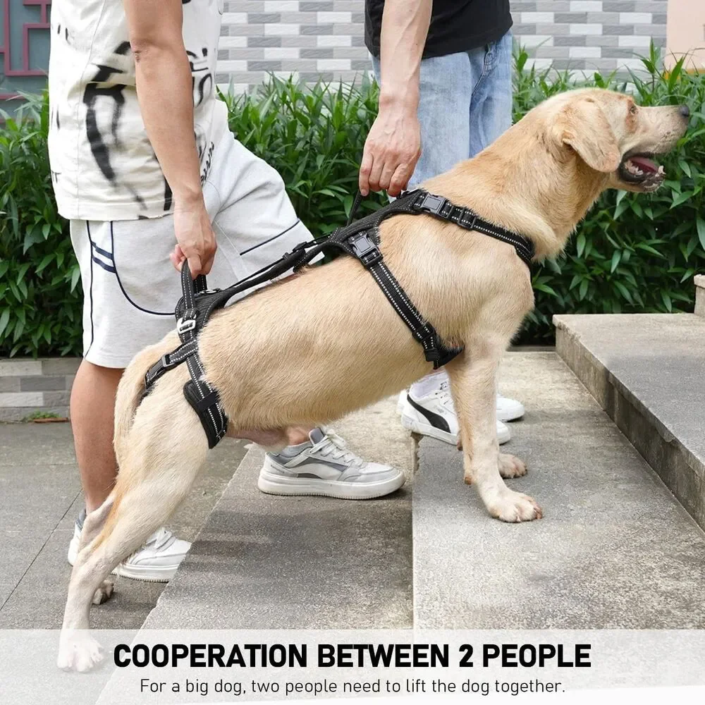 COODEO Mobility Dog Lift Harness, Support Sling & Walking Sling for Dogs, Blk XL